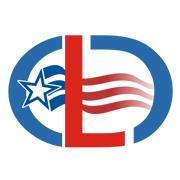 Custom Logo Design USA image 1
